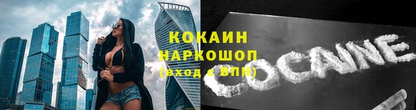apvp Каменногорск