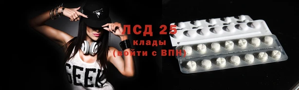 стафф Каменка