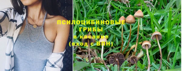 стафф Каменка