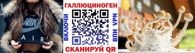 MEGA ТОР  Сычёвка  Галлюциногенные грибы Psilocybine cubensis 